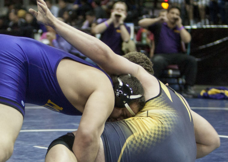 Wrestling: State Championships